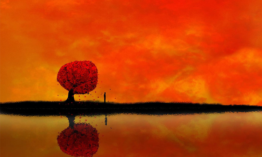 通州笙影微信朋友圈转发案例